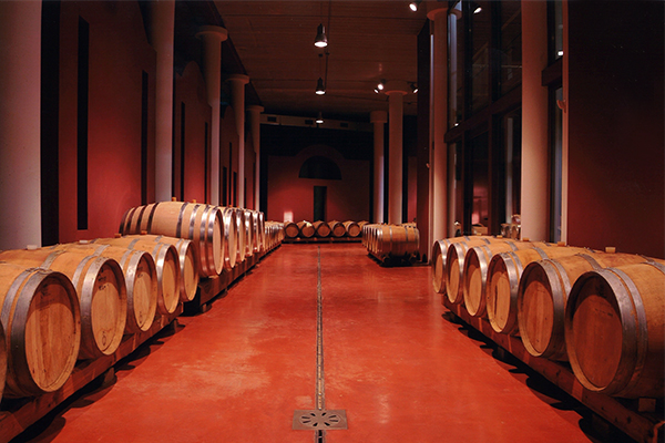 Cantina "Le Palaie" |Montecchio/2013